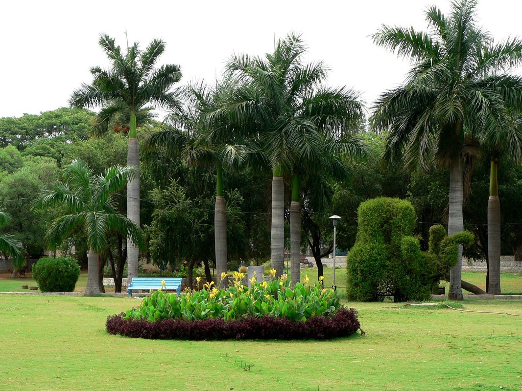 Indira Park, Hyderabad