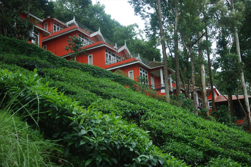 tea valley resort in munnar