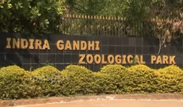 Indira Zoological Park Visakhapatnam